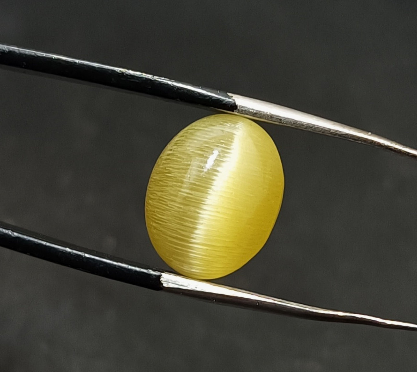 11.55 Ct NATURAL Loose BRAZILIAN Golden Yellow Cat Eye  Certified GEMSTONE 2 Pcs