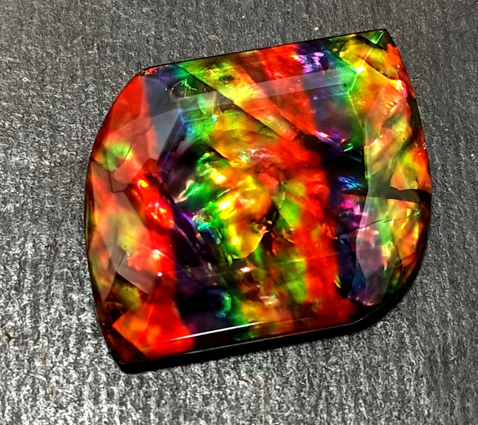 54.5 Ct Natural Ammolite Fancy Opal-Like Organic Doublet Rare Loose GEMSTONE