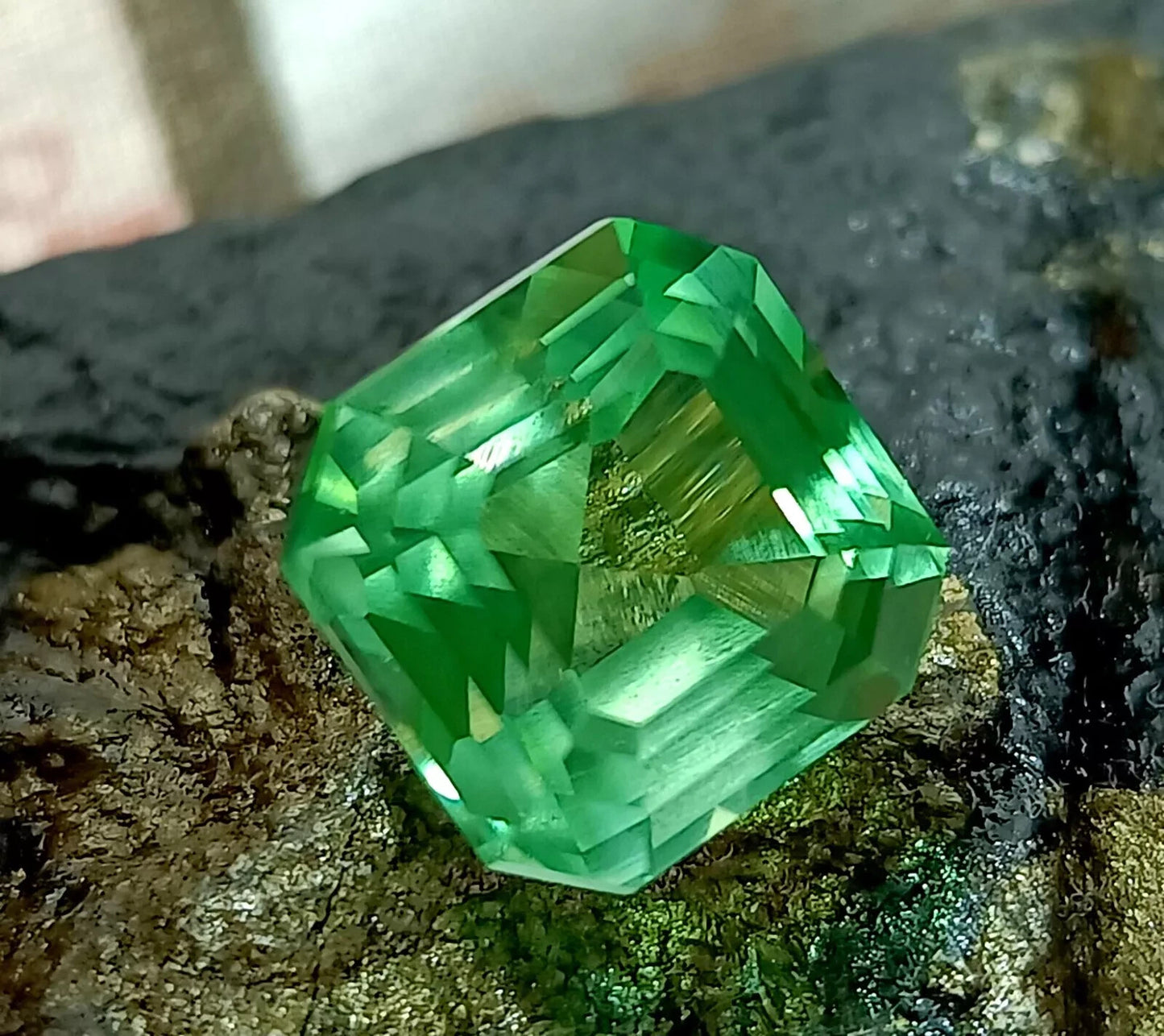 c8b635ed-1d68-4b1b-89d5-0b0b8ce66513