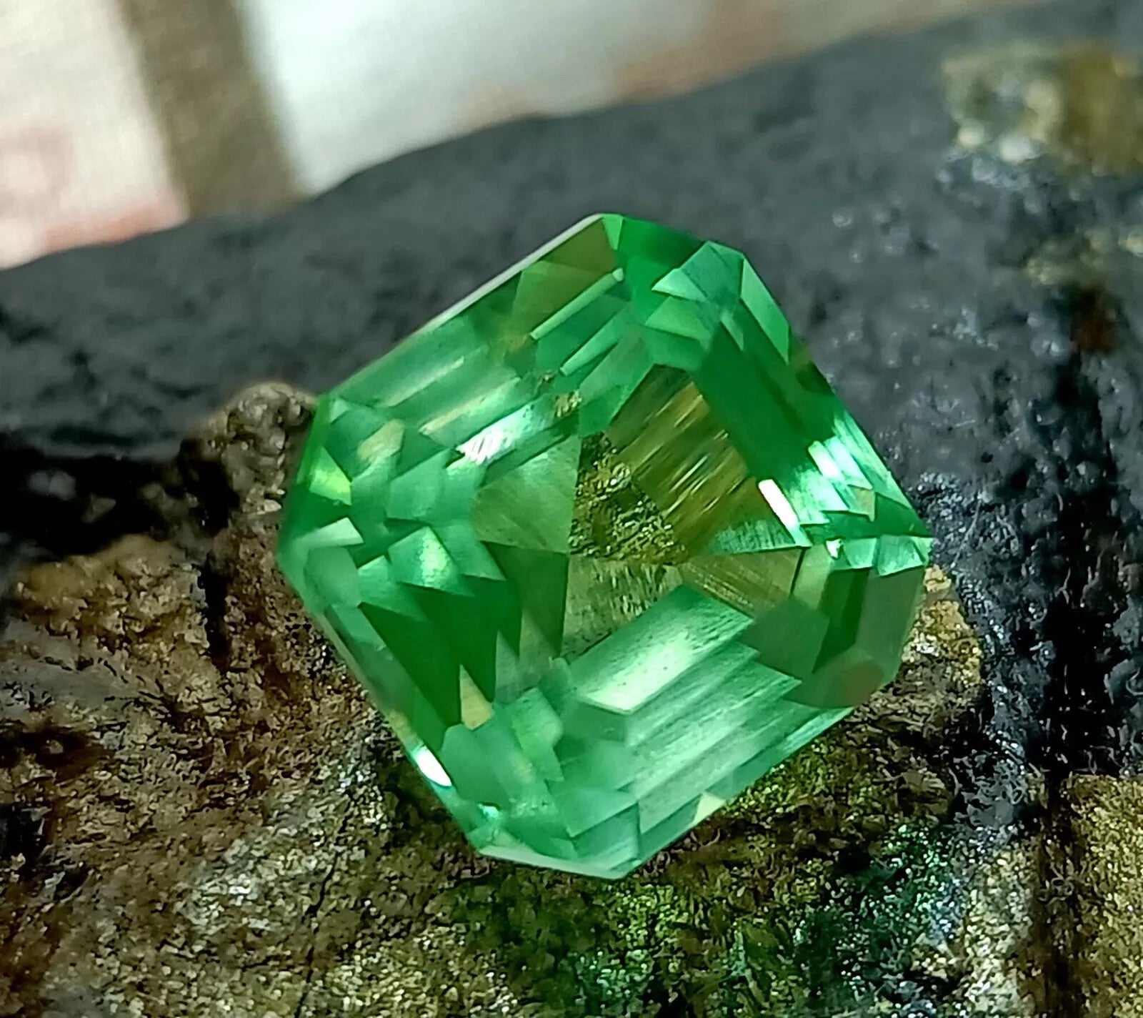 c8b635ed-1d68-4b1b-89d5-0b0b8ce66513