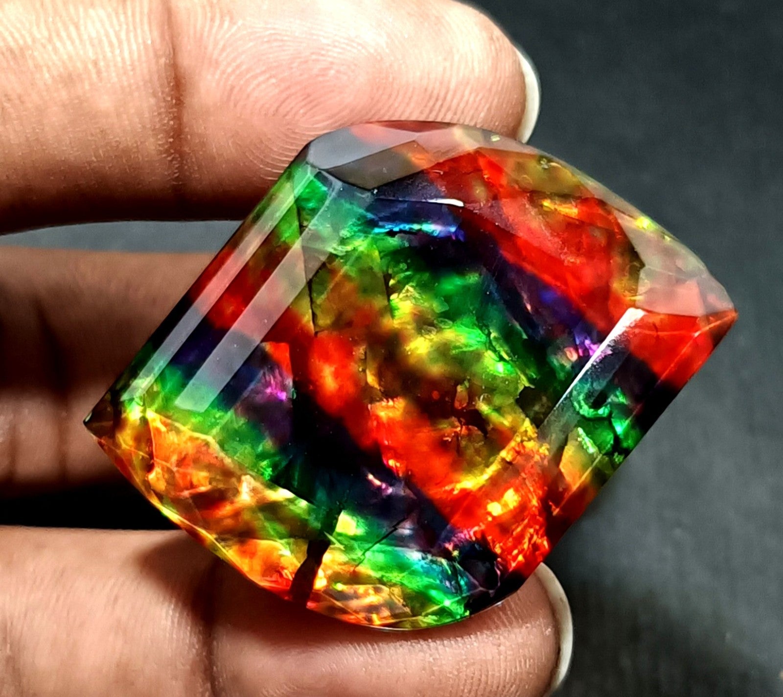 54.5 Ct Natural Ammolite Fancy Opal-Like Organic Doublet Rare Loose GEMSTONE