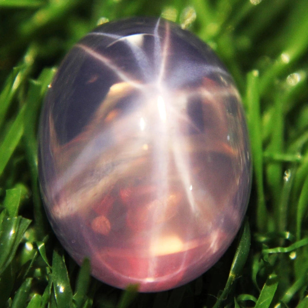 20 Ct 6 Rays Pink Star Sapphire Oval Cabochon Huge Loose Certified Gemstones
