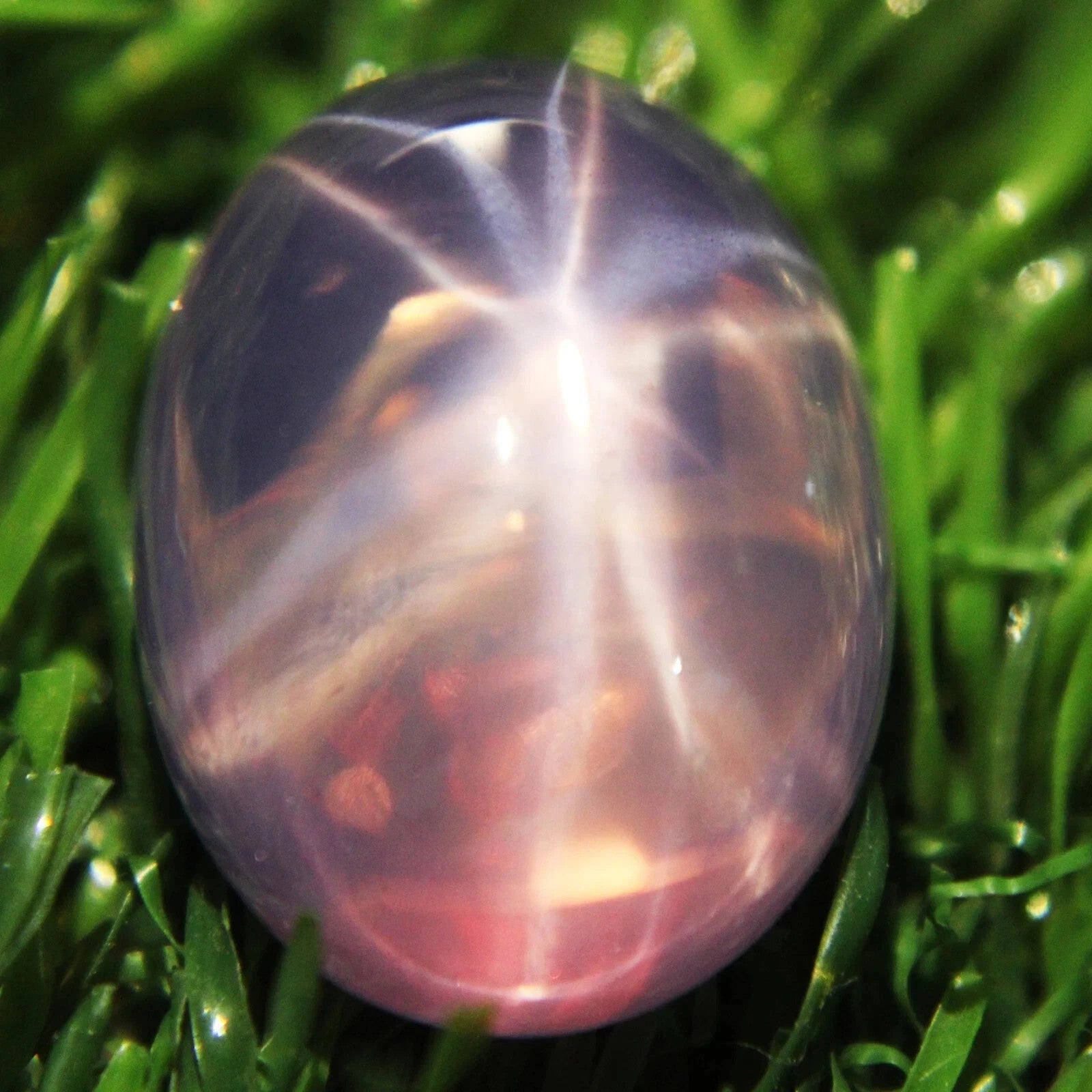20 Ct 6 Rays Pink Star Sapphire Oval Cabochon Huge Loose Certified Gemstones