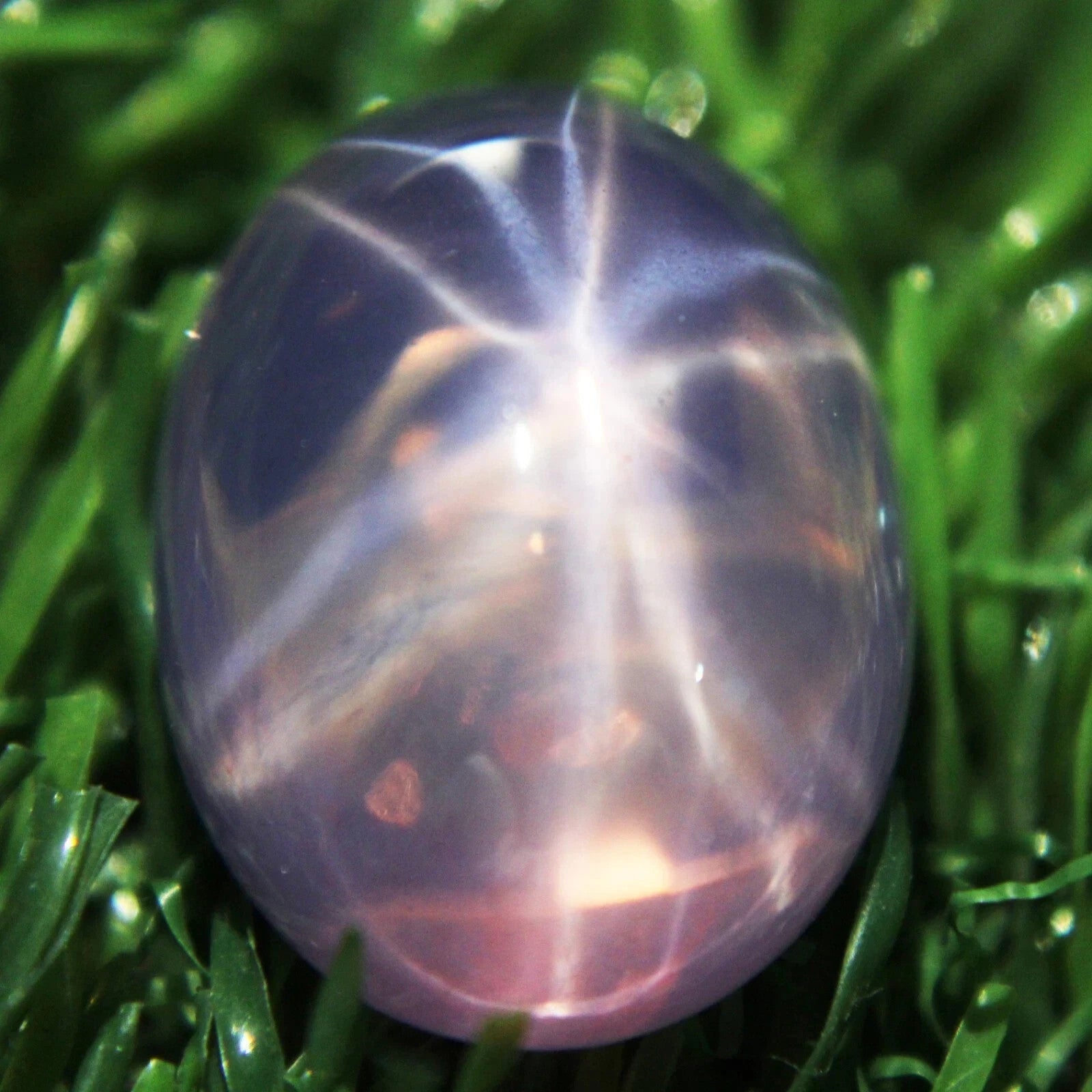 20 Ct 6 Rays Pink Star Sapphire Oval Cabochon Huge Loose Certified Gemstones