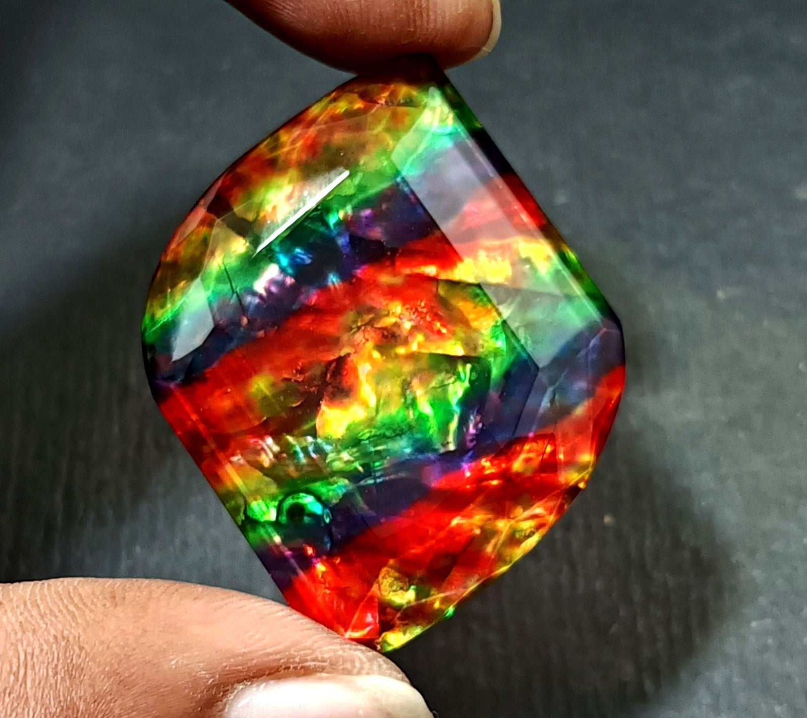 54.5 Ct Natural Ammolite Fancy Opal-Like Organic Doublet Rare Loose GEMSTONE