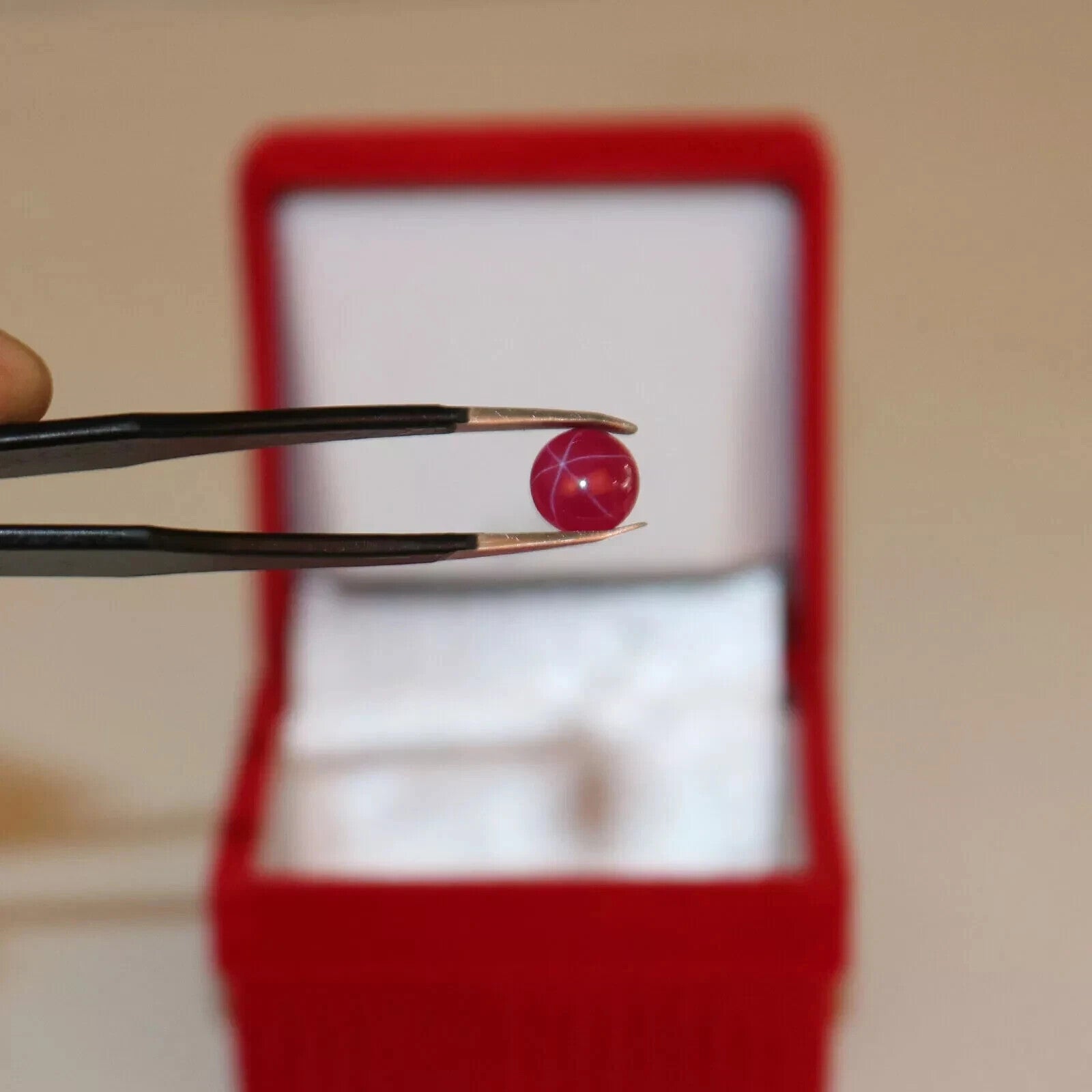 Loose 6 Rays Natural Red Star Ruby 2.45 Ct Certified Gemstone Timeless Jewelry