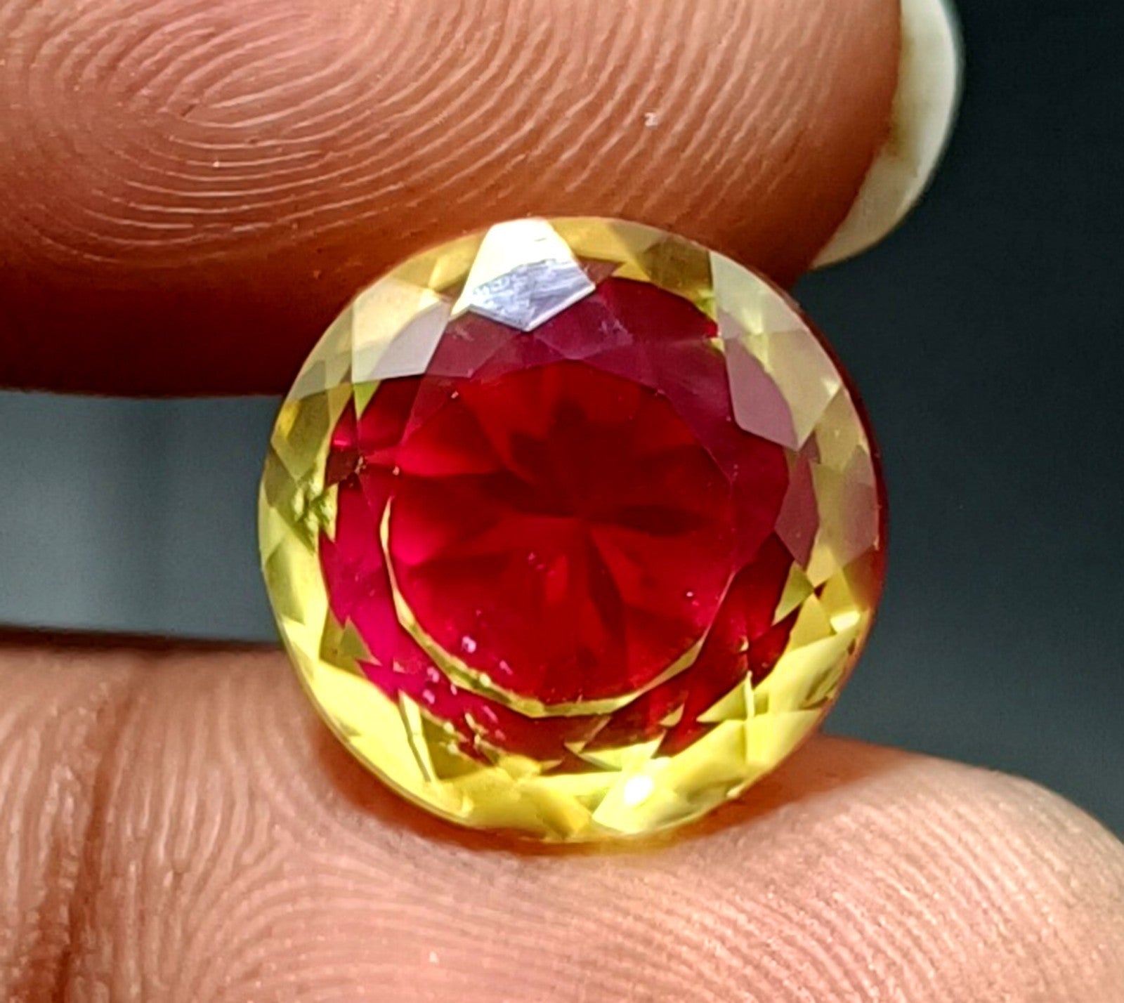 ed8a55f9-76db-4f08-84f8-ec918e8449d6