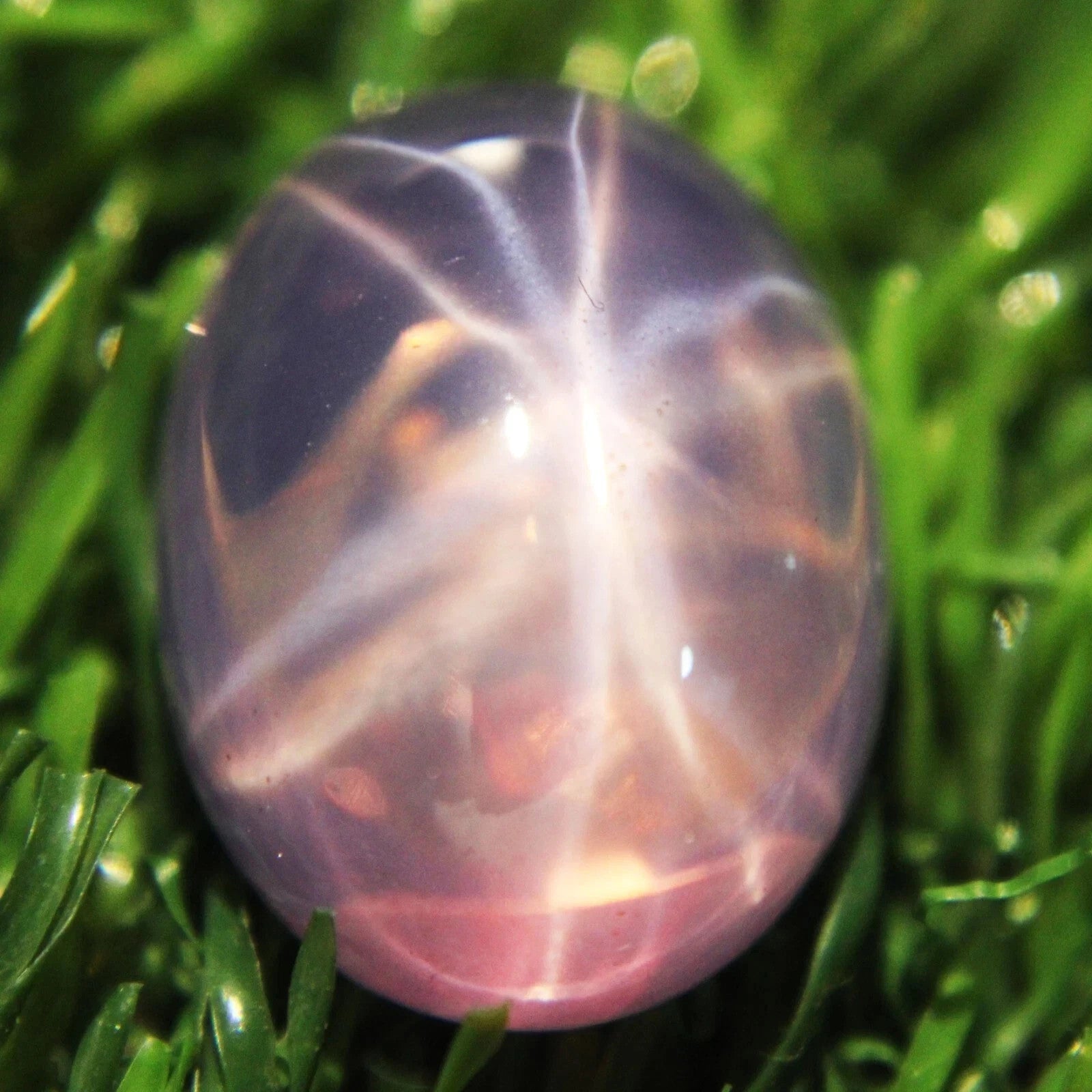 20 Ct 6 Rays Pink Star Sapphire Oval Cabochon Huge Loose Certified Gemstones