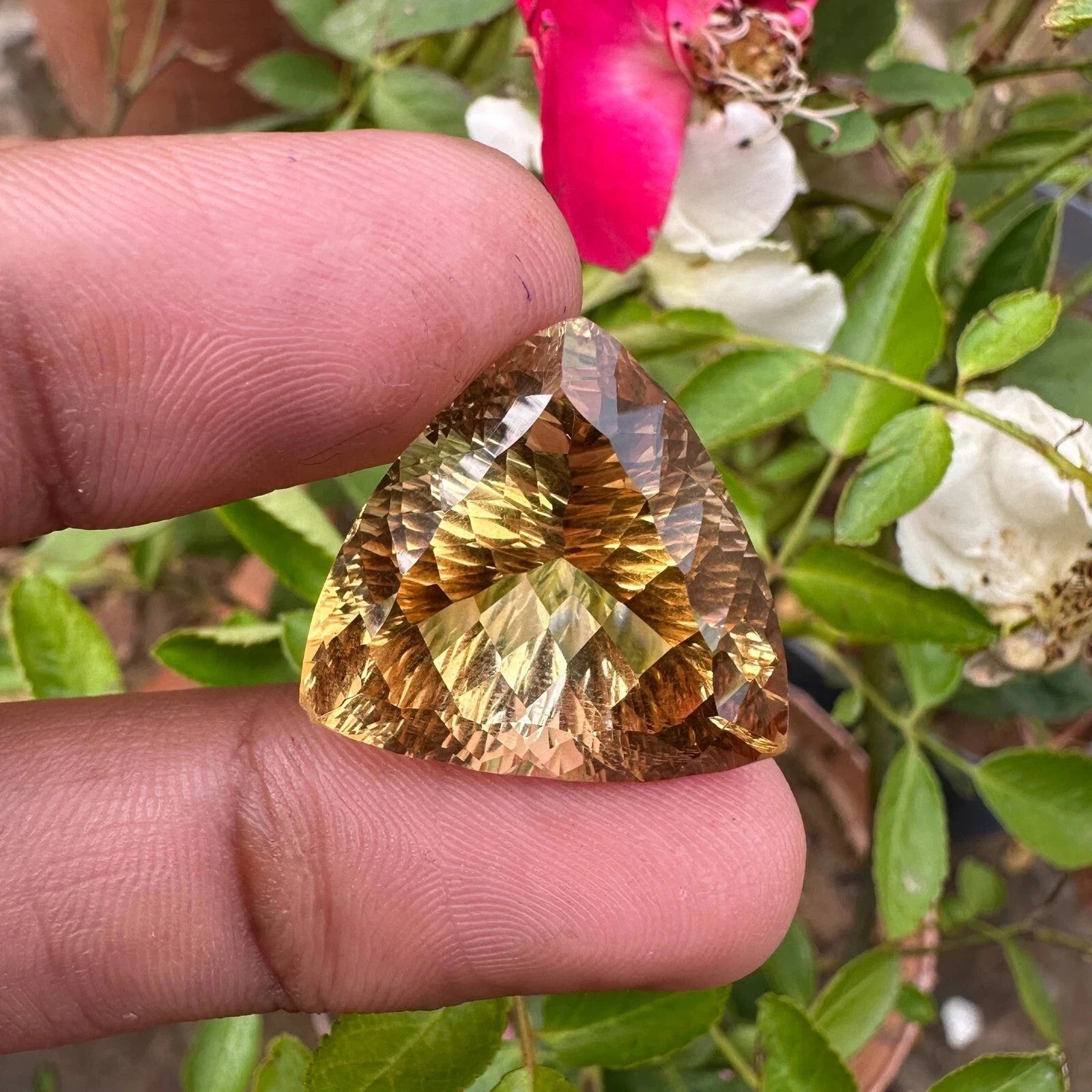 Certified Natural Rich Yellow Citrine 33.60 Ct Trillion Cut Loose Gemstone