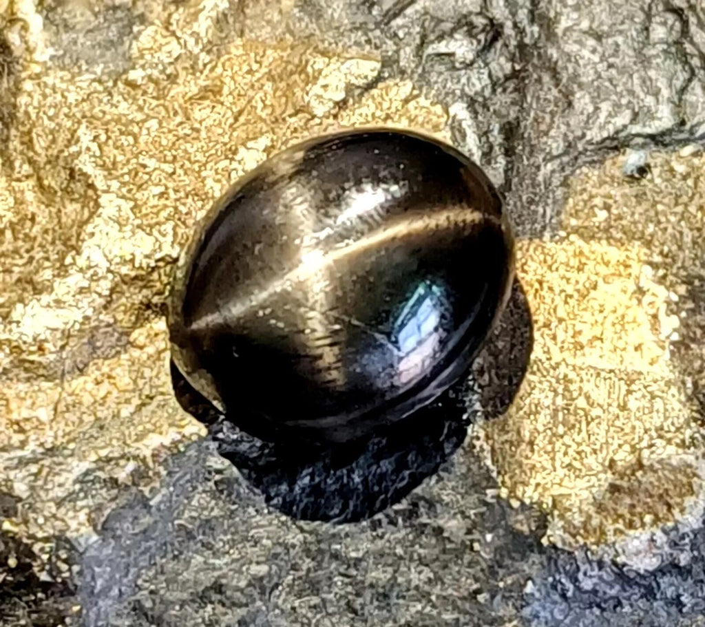 Black Star Sapphire 4 Rays 5.75 Ct Oval Cabochon Natural Gemstone