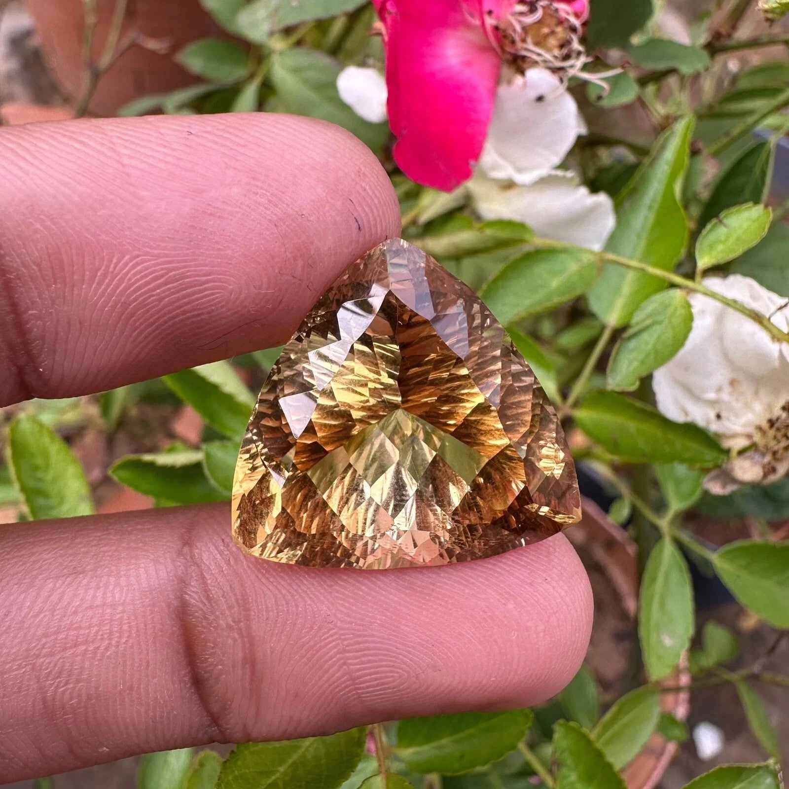 Certified Natural Rich Yellow Citrine 33.60 Ct Trillion Cut Loose Gemstone