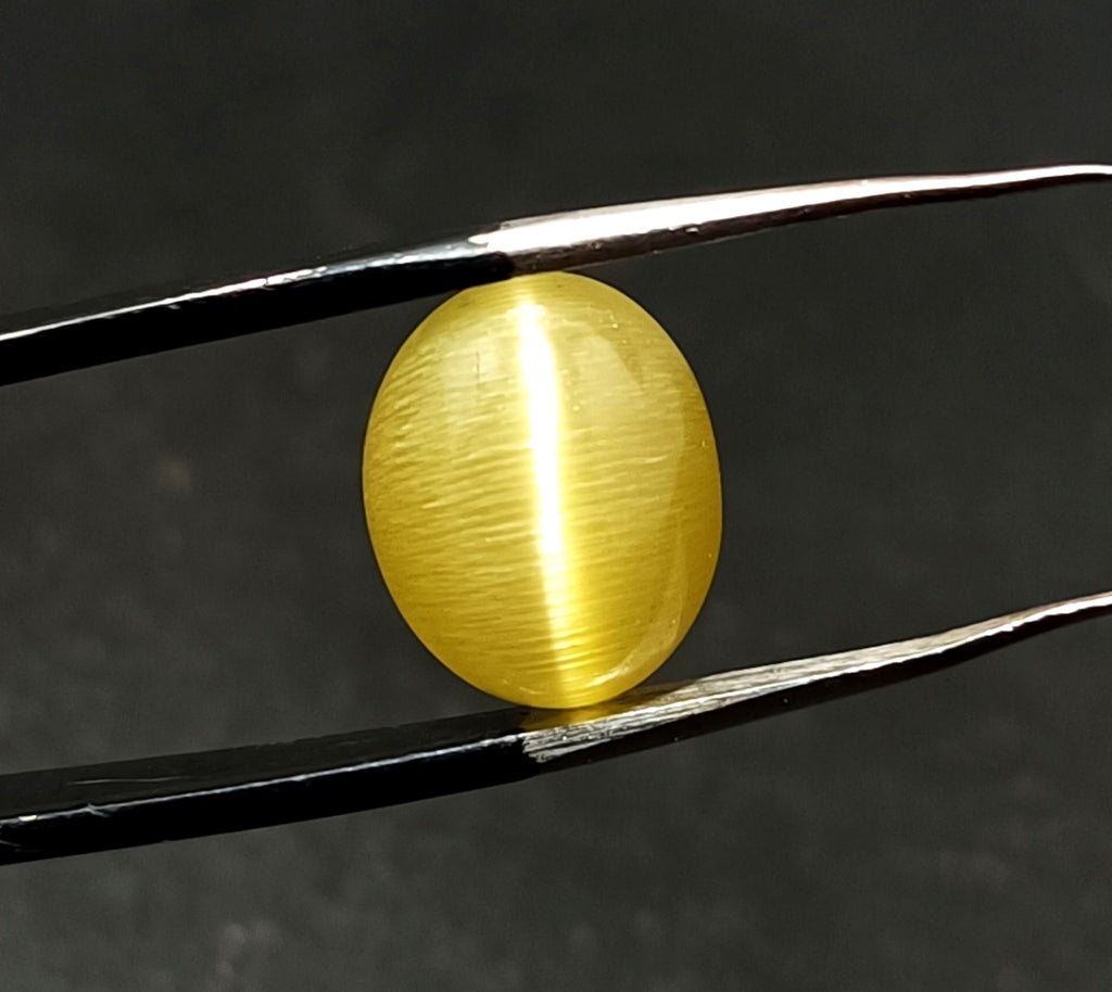 11.55 Ct NATURAL Loose BRAZILIAN Golden Yellow Cat Eye  Certified GEMSTONE 2 Pcs