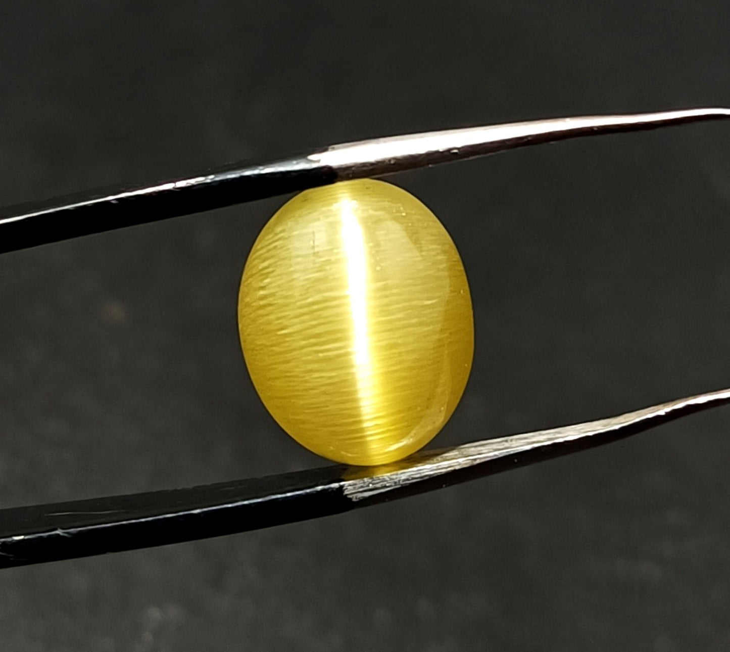 11.55 Ct NATURAL Loose BRAZILIAN Golden Yellow Cat Eye  Certified GEMSTONE 2 Pcs