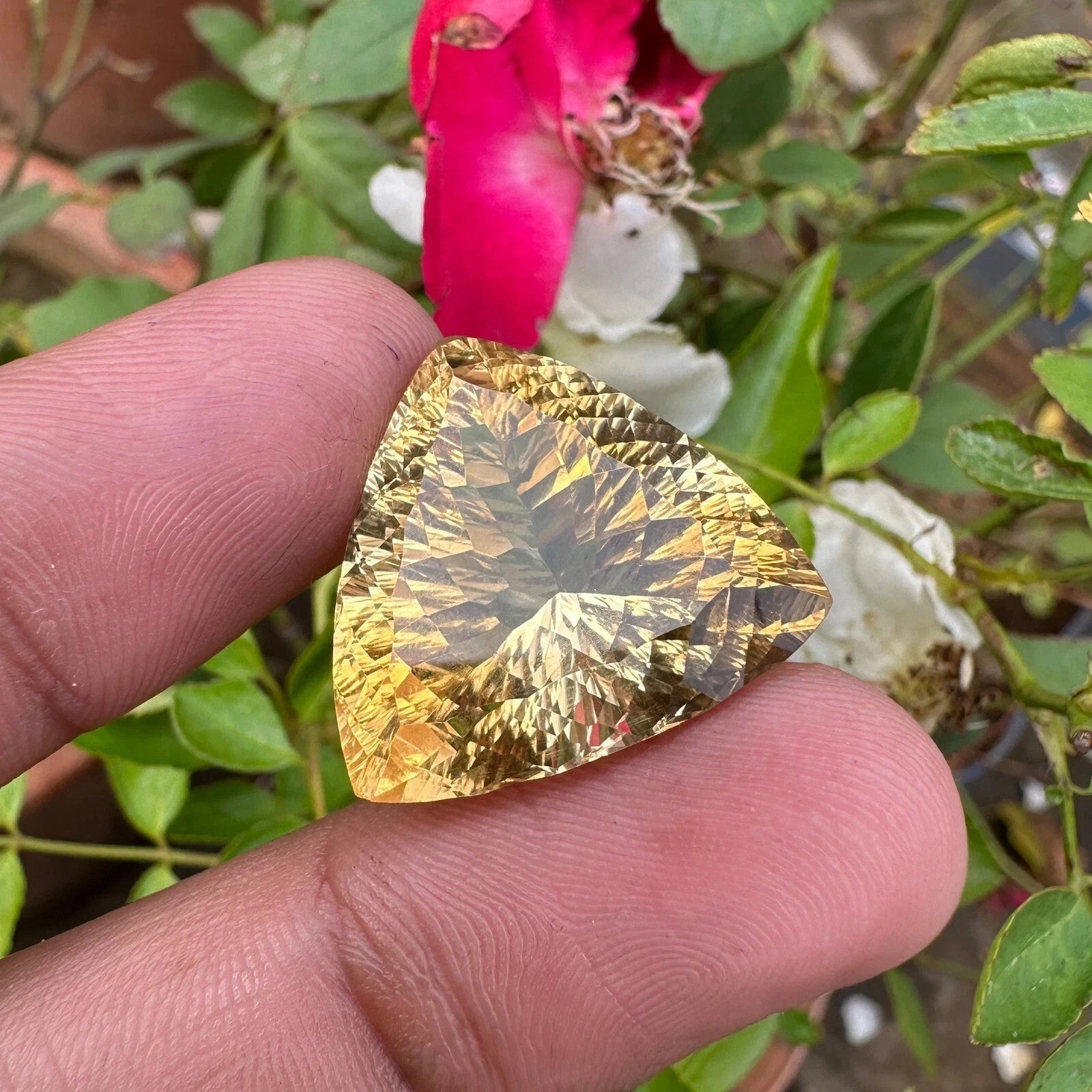 Certified Natural Rich Yellow Citrine 33.60 Ct Trillion Cut Loose Gemstone