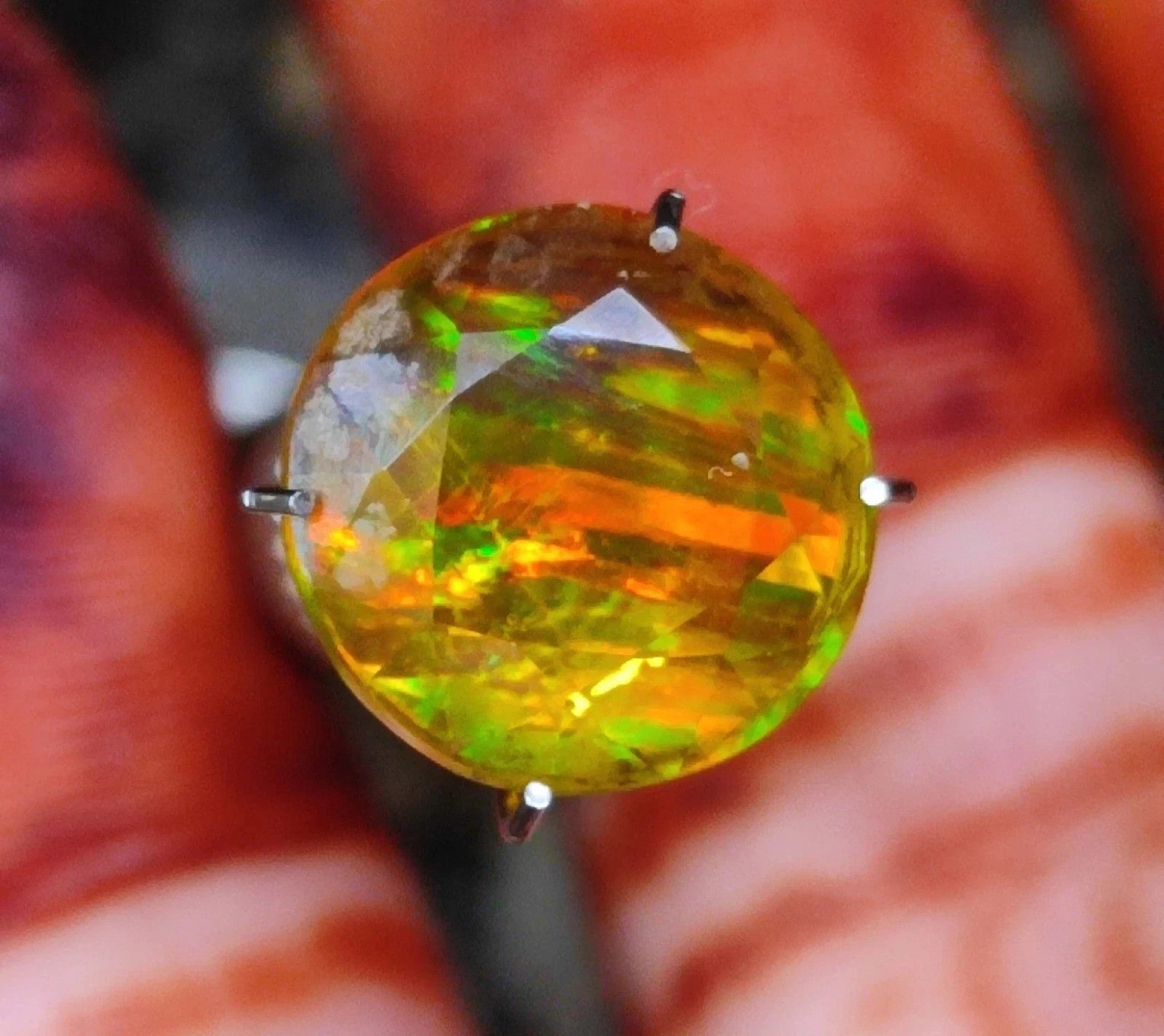 2 CT Natural Bi- Color Pitambari Sapphire Round Cut Loose GIE Certified Gemstone